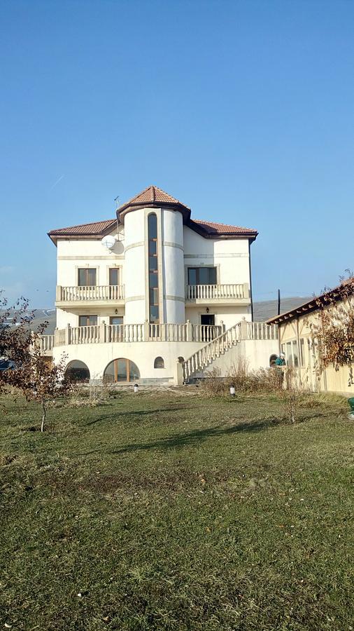 Tsaghkunq Guest House セヴァン エクステリア 写真